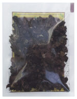 AMAPOLA 15G | HERBOFARMA - Imagen 2