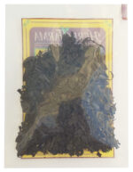 FUCUS 40G | HERBOFARMA - Imagen 2