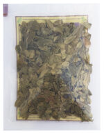 GAYUBA 30G | HERBOFARMA - Imagen 2