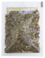 LÚPULO 10G | HERBOFARMA - Imagen 2
